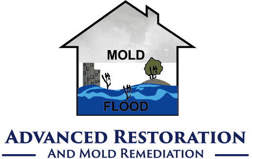 All Quality Restoration Logo